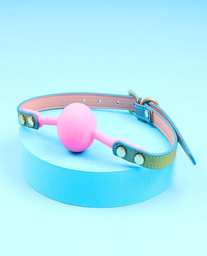 RAINBOW BDSM SET.